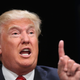 Donald Trump in 2015
Scott Olson/Getty Images